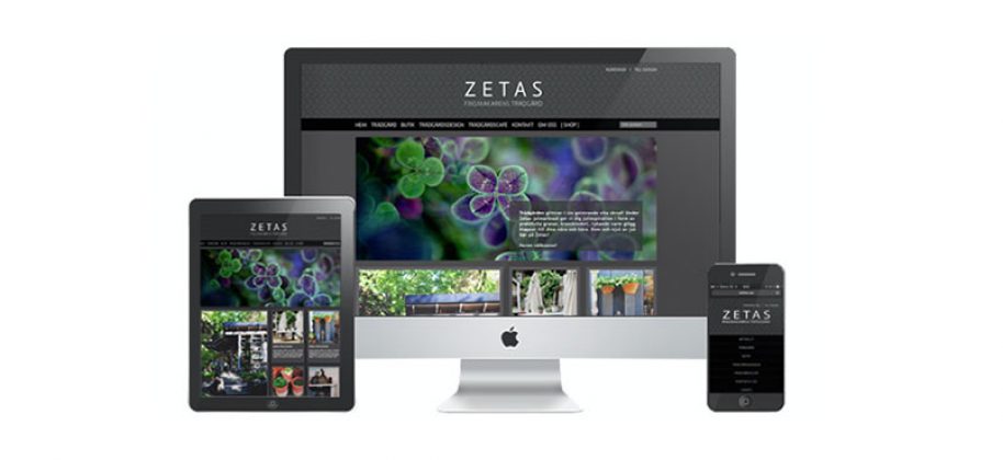 Zetas satsar på social e-handel