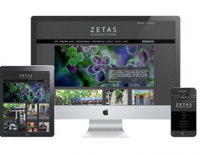 Zetas satsar på social e-handel
